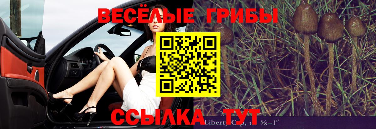 Галлюциногенные грибы MAGIC MUSHROOMS Воткинск