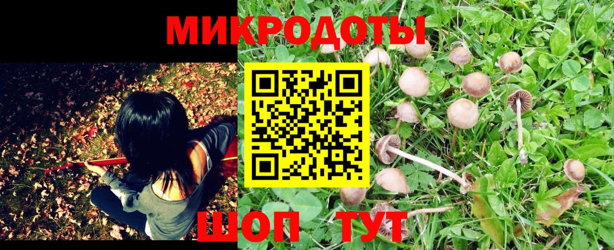 Воткинск  Псилоцибиновые грибы Psilocybe  Вход с VPN  Псилоцибиновые грибы GOLDEN TEACHER 
